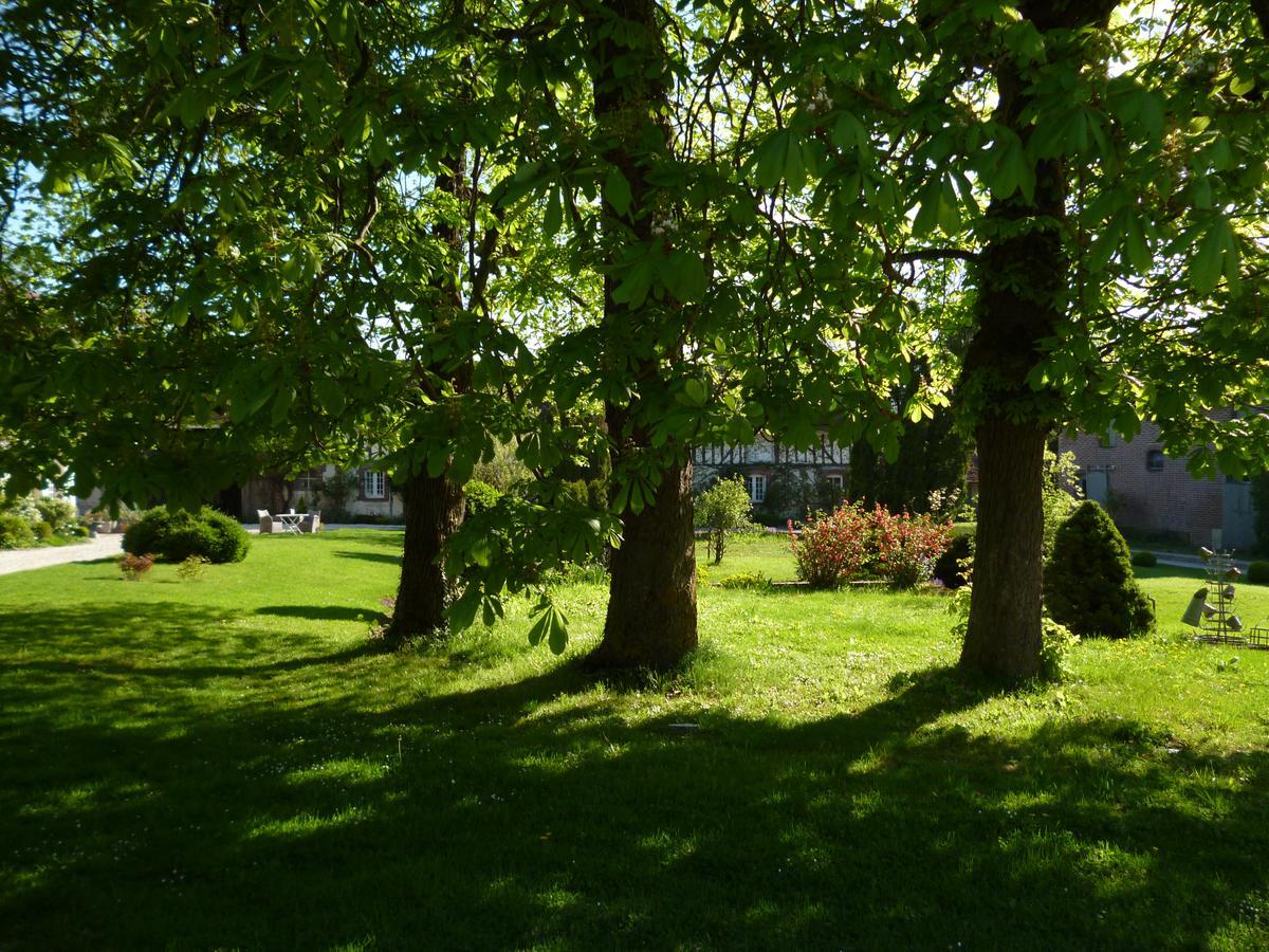Domaine De La Creuse Bed and Breakfast Moussey  Buitenkant foto